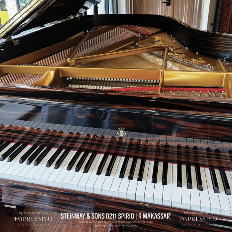 Steinway & Sons Spirio | R Model B211 Makassar Ebony 10