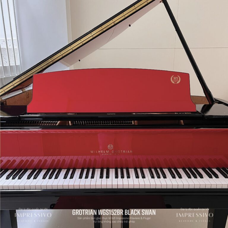 Wilhelm Grotrian WGS152BR Black Swan 11