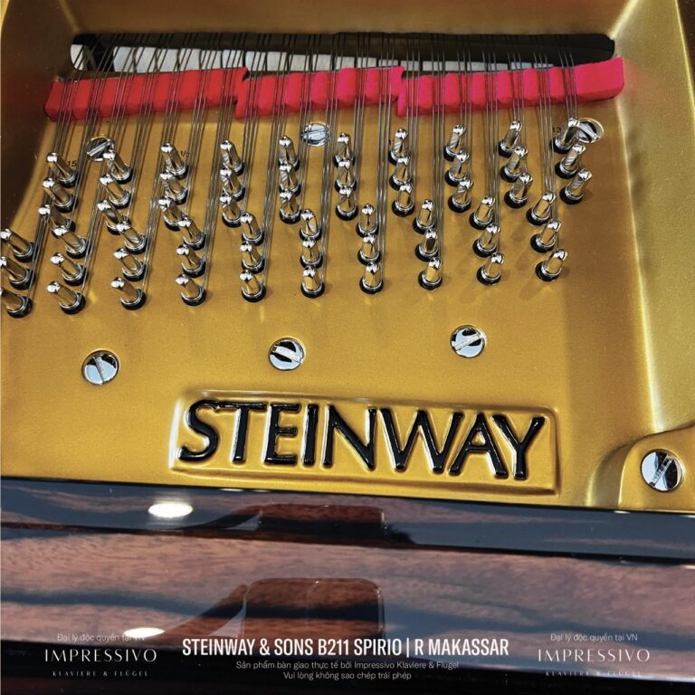 Steinway & Sons Spirio | R Model B211 Makassar Ebony 11