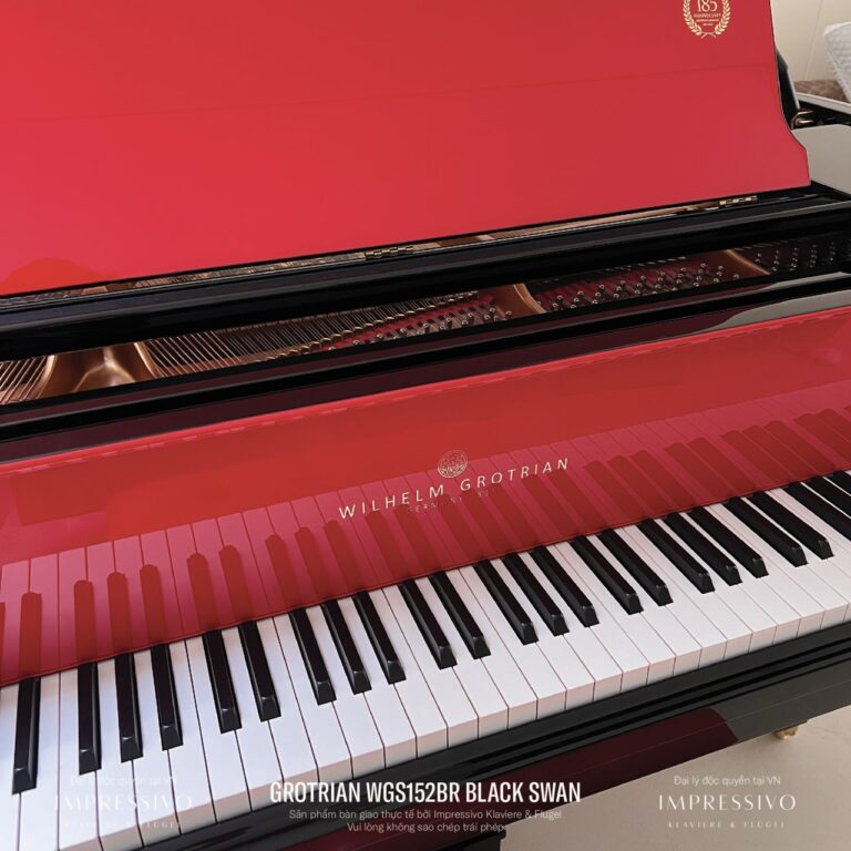 Wilhelm Grotrian WGS152BR Black Swan 2