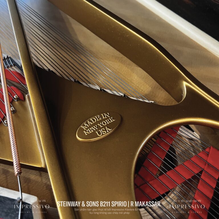 Steinway & Sons Spirio | R Model B211 Makassar Ebony 3