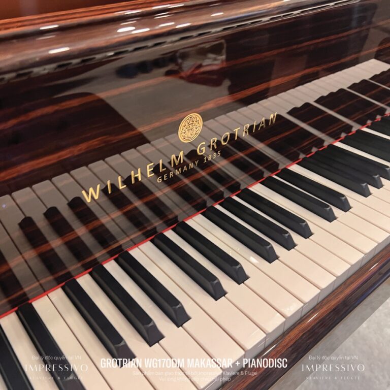 Wilhelm Grotrian WG170DM Makassar 3