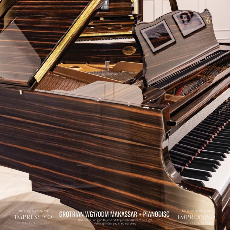 Wilhelm Grotrian WG170DM Makassar 5