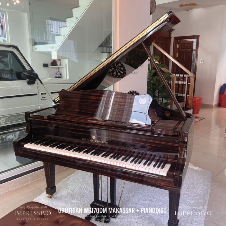 Wilhelm Grotrian WG170DM Makassar 6