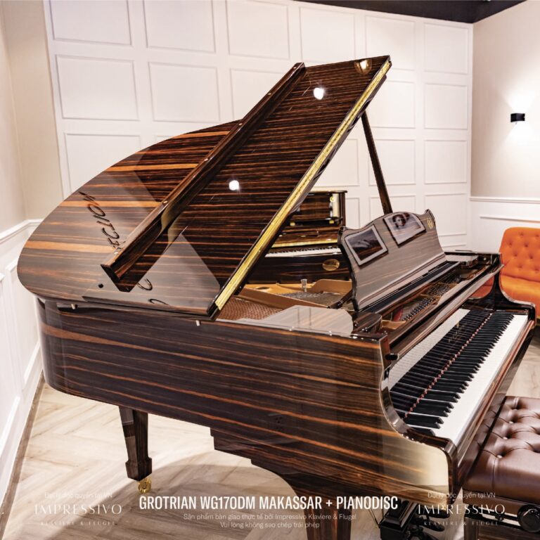 Wilhelm Grotrian WG170DM Makassar 10