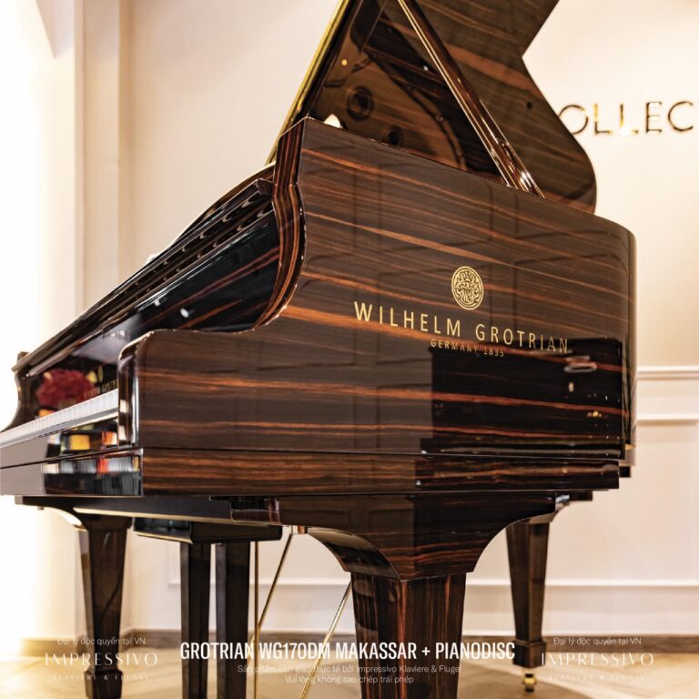 Wilhelm Grotrian WG170DM Makassar 11