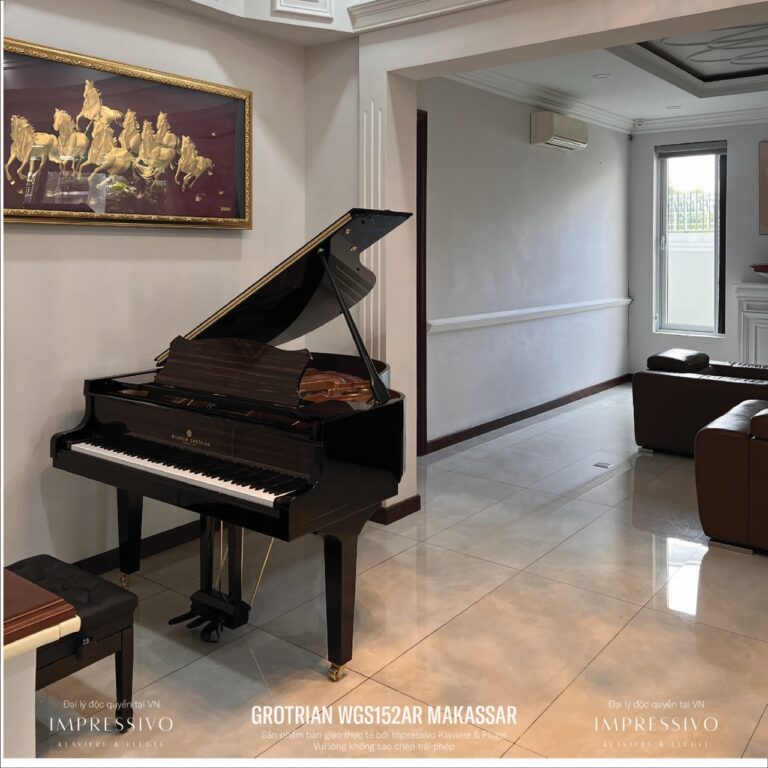 Wilhelm Grotrian WGS152AR Makassar 5