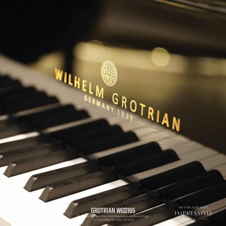 Wilhelm Grotrian WGS165 8