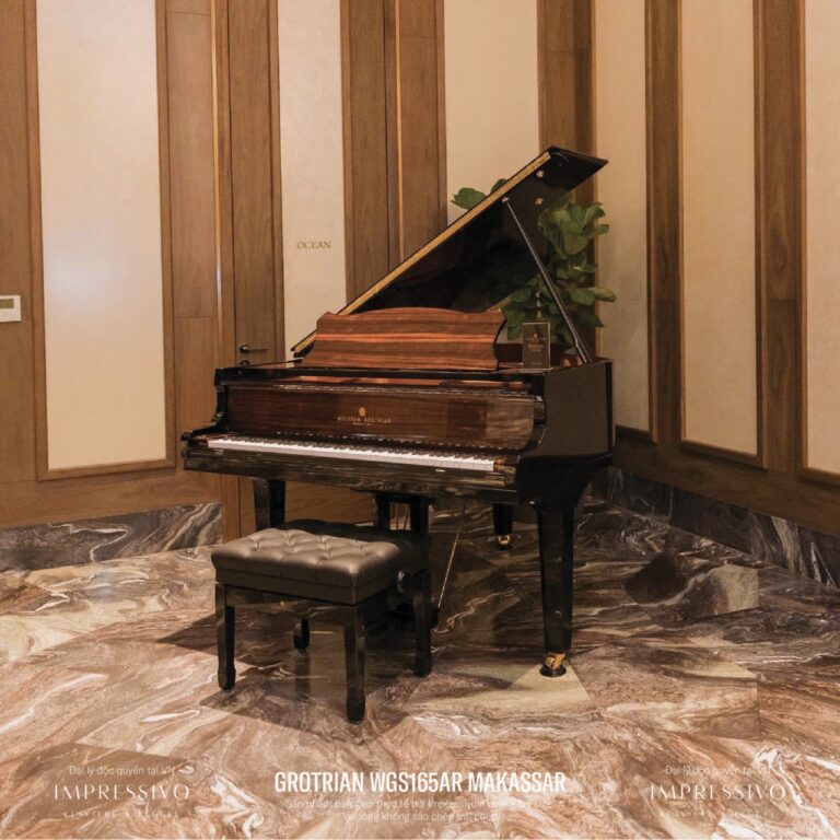 Wilhelm Grotrian WGS165AR Makassar 4