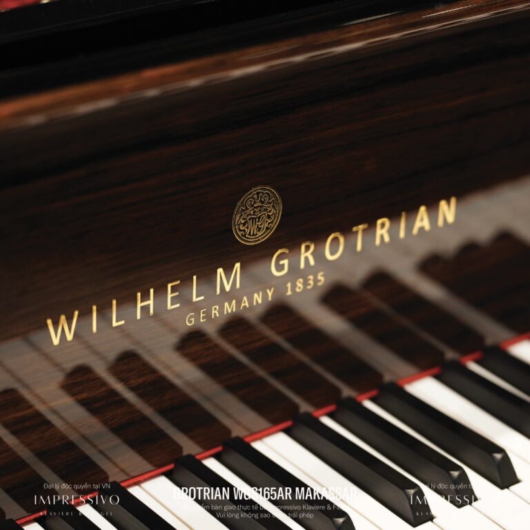 Wilhelm Grotrian WGS165AR Makassar 6