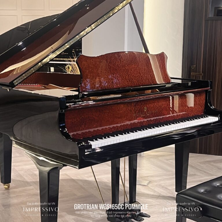 Wilhelm Grotrian WGS165CC Mahogany 2