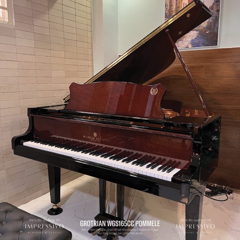 Wilhelm Grotrian WGS165CC Mahogany 3