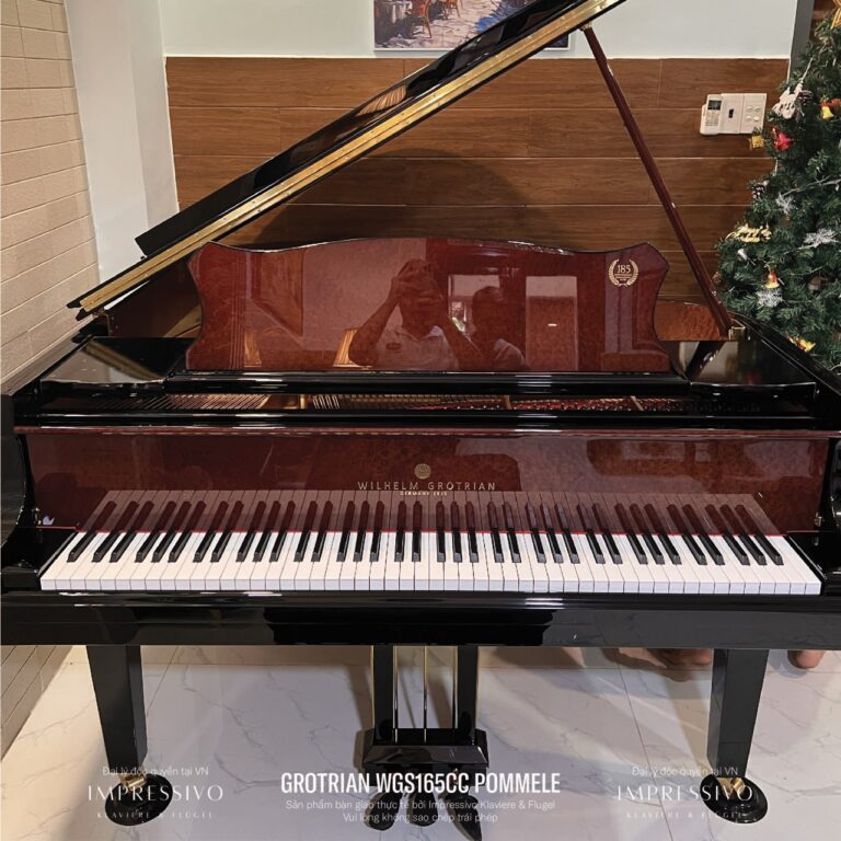 Wilhelm Grotrian WGS165CC Mahogany 4