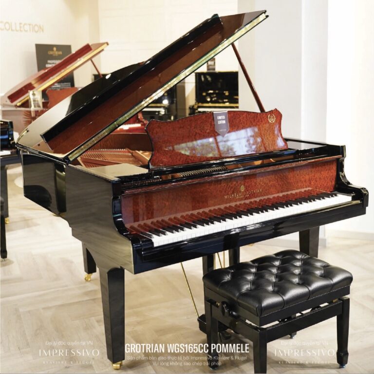 Wilhelm Grotrian WGS165CC Mahogany 5