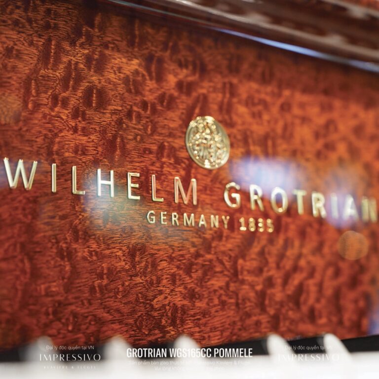 Wilhelm Grotrian WGS165CC Mahogany 8