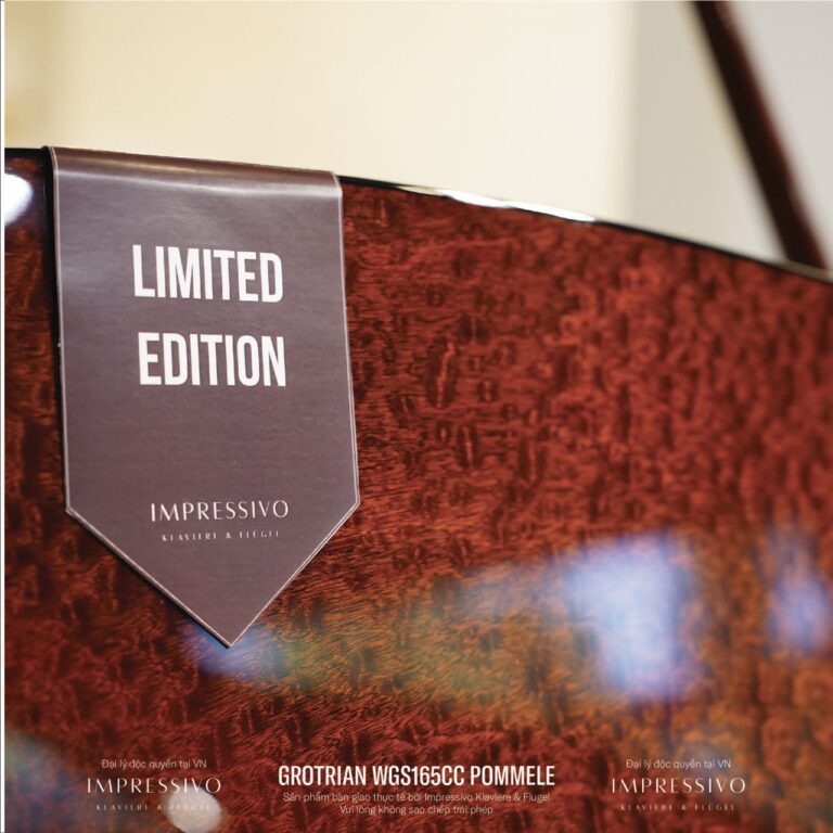 Wilhelm Grotrian WGS165CC Mahogany 9