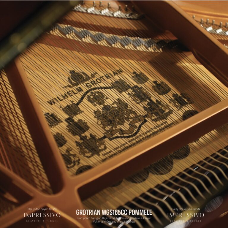 Wilhelm Grotrian WGS165CC Mahogany 10