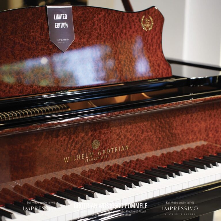 Wilhelm Grotrian WGS165CC Mahogany 11