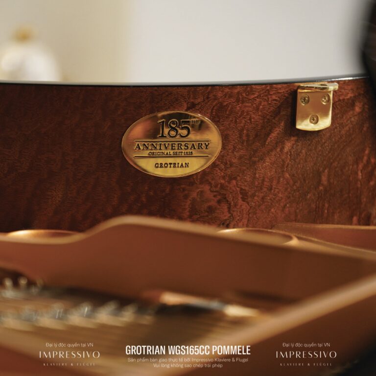Wilhelm Grotrian WGS165CC Mahogany 12