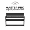 Wilh. Steinberg DPP01 Master Pro 1