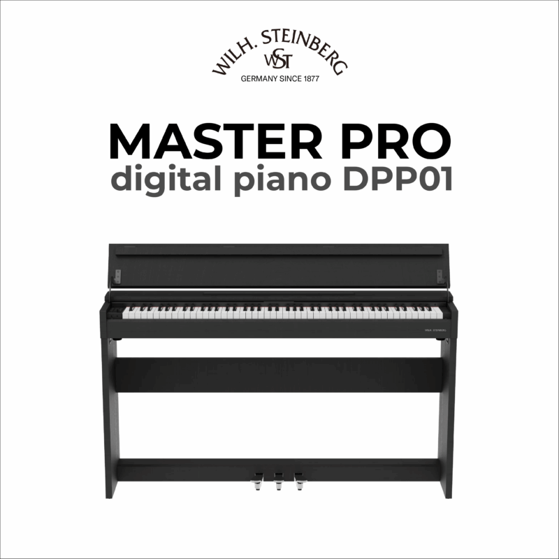 Wilh. Steinberg DPP01 Master Pro 1