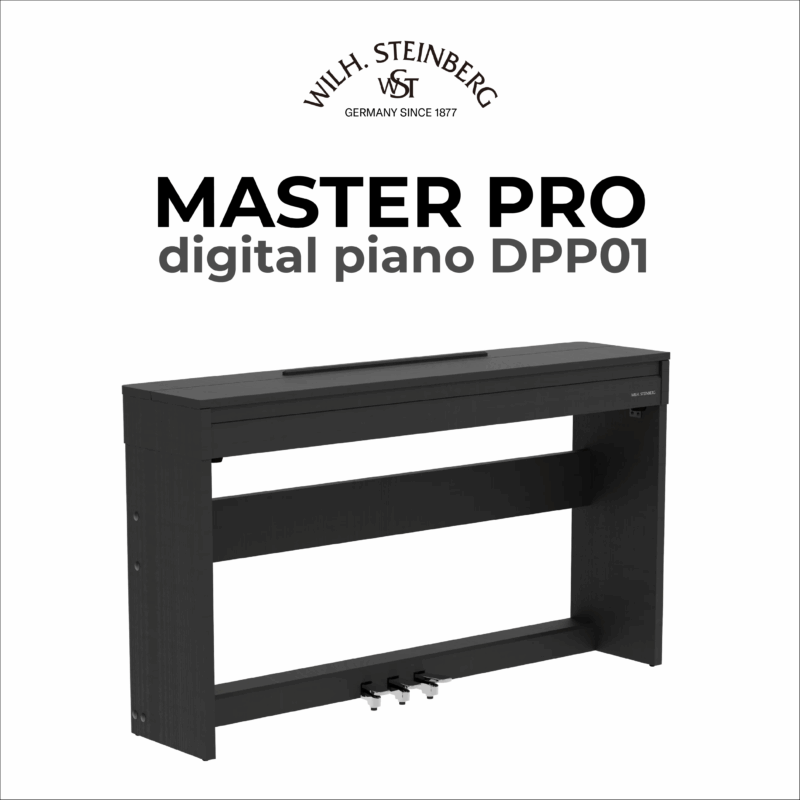 Wilh. Steinberg DPP01 Master Pro 2