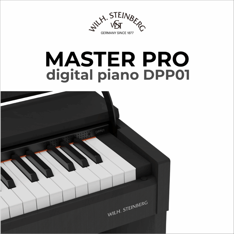 Wilh. Steinberg DPP01 Master Pro 3