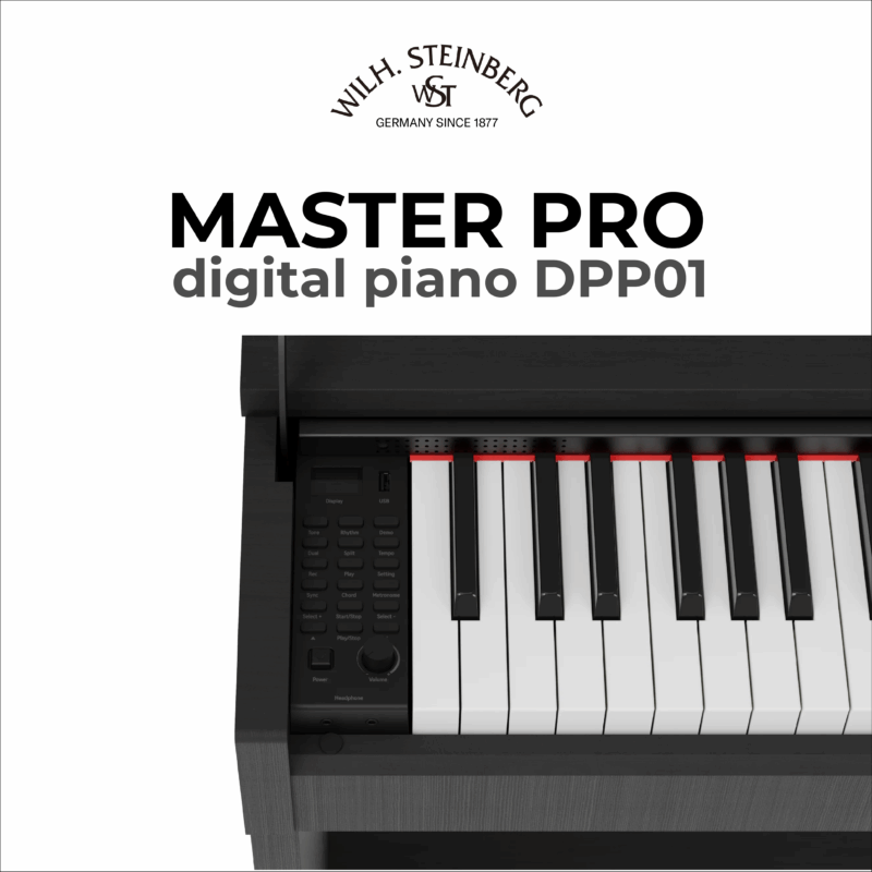 Wilh. Steinberg DPP01 Master Pro 4