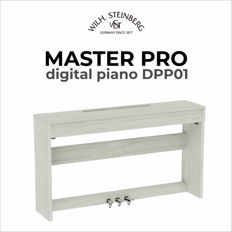 Wilh. Steinberg DPP01 Master Pro 5