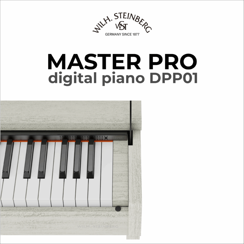 Wilh. Steinberg DPP01 Master Pro 6