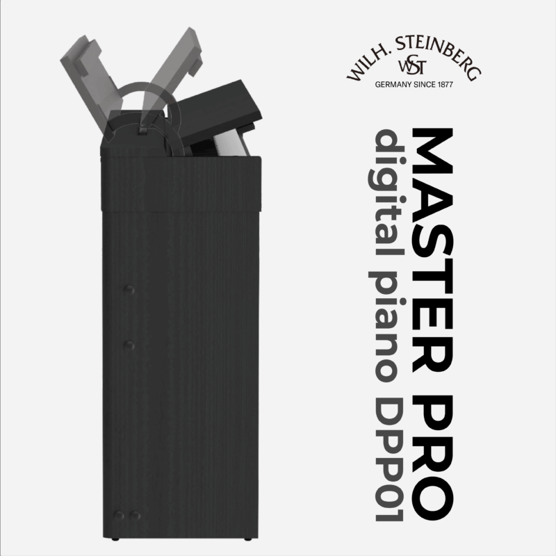 Wilh. Steinberg DPP01 Master Pro 10