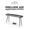 Wilh. Steinberg Prelude Air DPP02 1