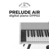 Wilh. Steinberg Prelude Air DPP02 4