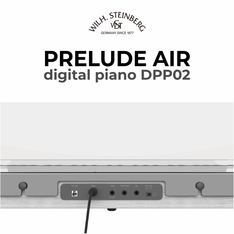Wilh. Steinberg Prelude Air DPP02 5