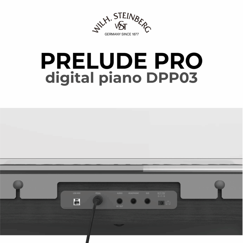 Wilh. Steinberg Prelude Pro DPP03 2