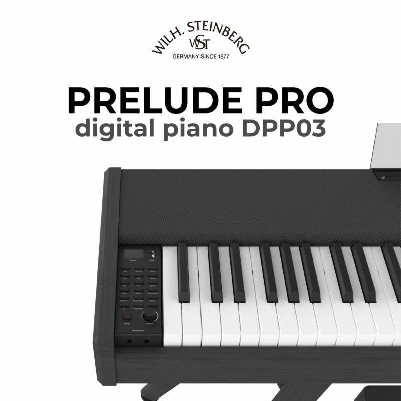 Wilh. Steinberg Prelude Pro DPP03 3