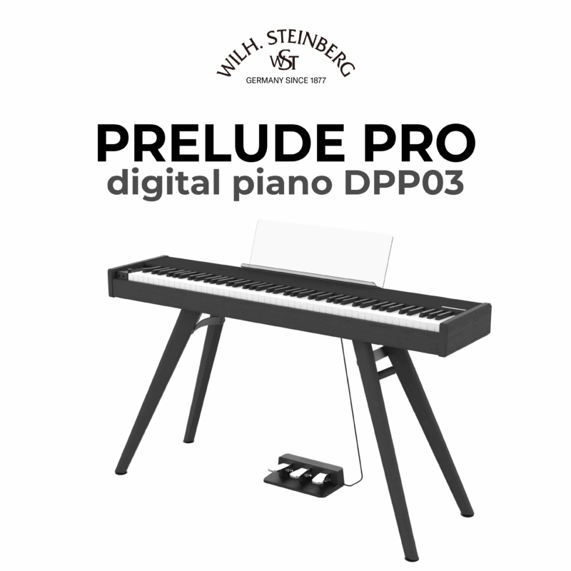 Wilh. Steinberg Prelude Pro DPP03 4
