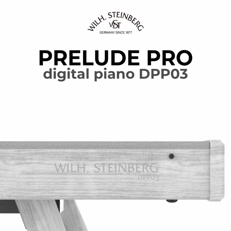 Wilh. Steinberg Prelude Pro DPP03 7