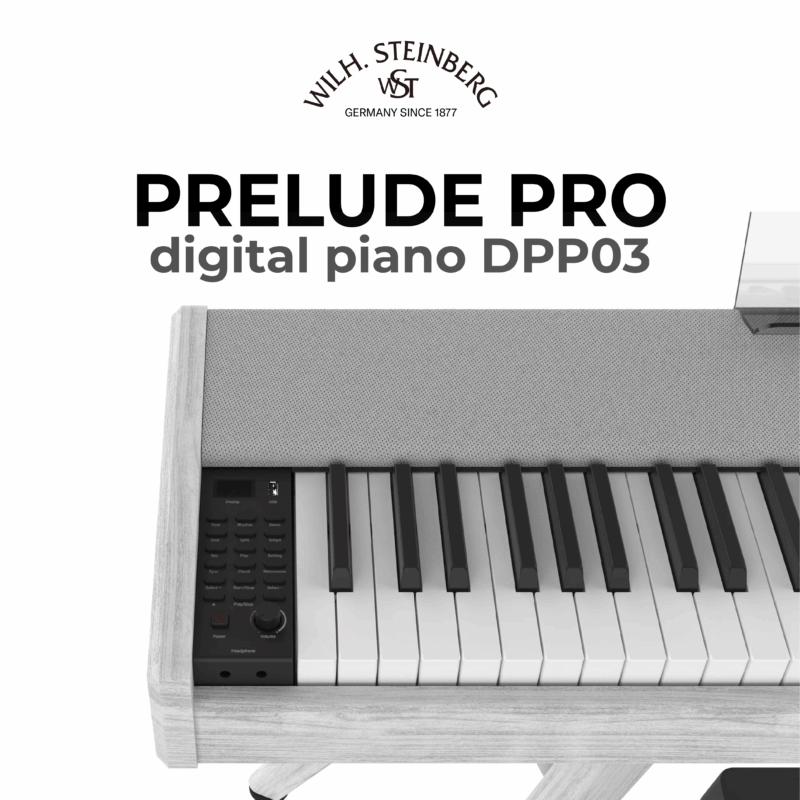 Wilh. Steinberg Prelude Pro DPP03 8