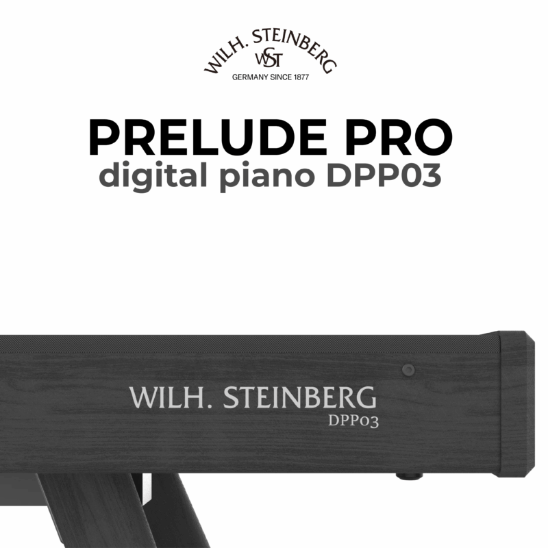 Wilh. Steinberg Prelude Pro DPP03 9
