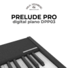 Wilh. Steinberg Prelude Pro DPP03 10