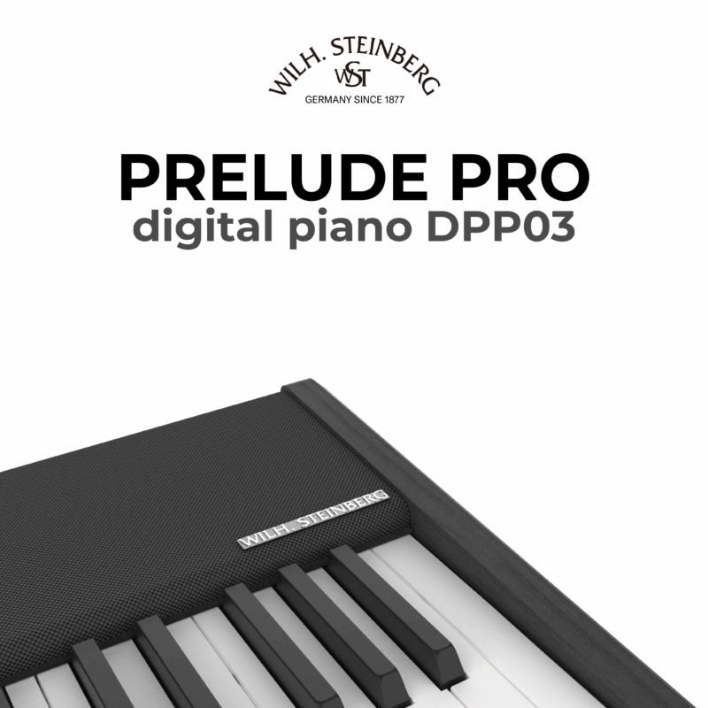 Wilh. Steinberg Prelude Pro DPP03 10