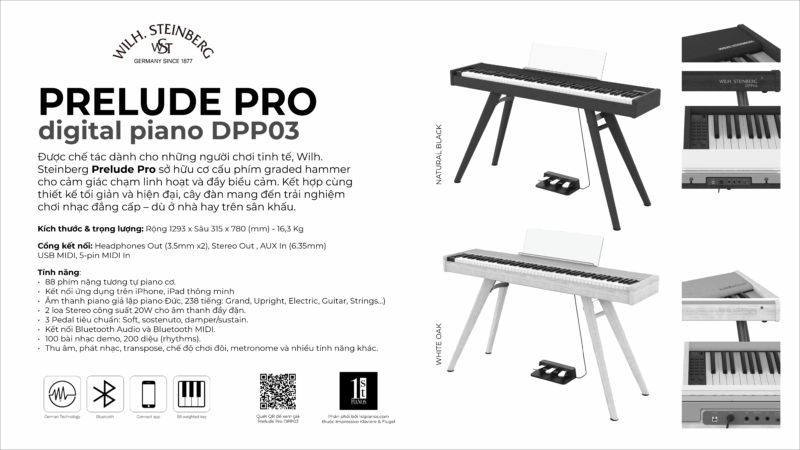 Wilh. Steinberg Prelude Pro DPP03 11