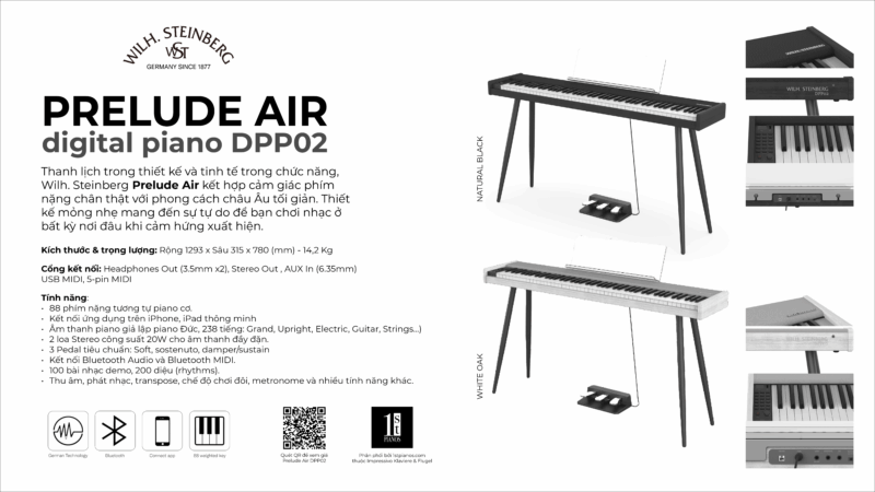 Wilh. Steinberg Prelude Air DPP02 11