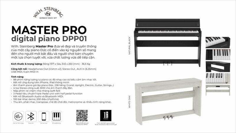 Wilh. Steinberg DPP01 Master Pro 10