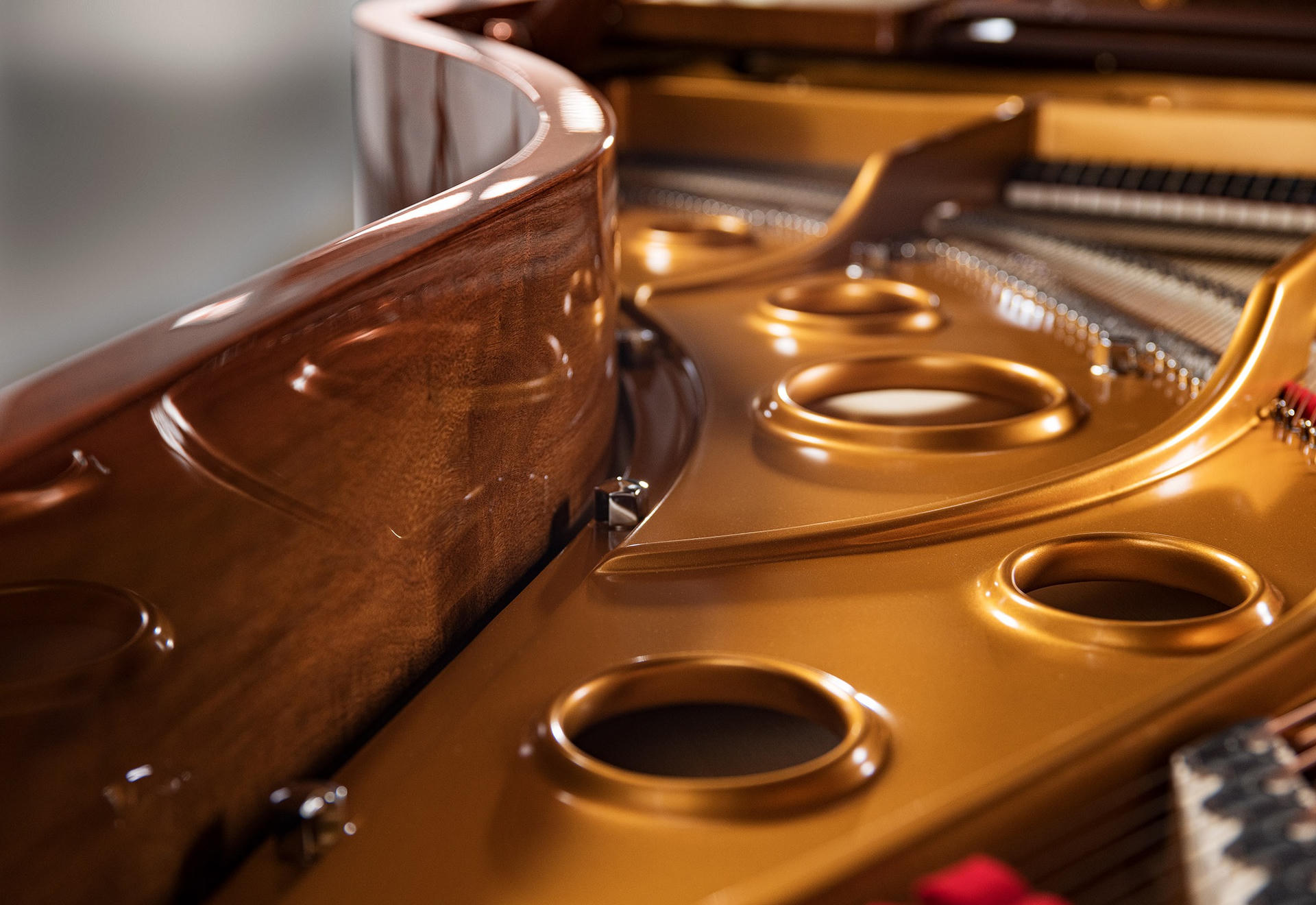 Piano Fazioli F183 frame