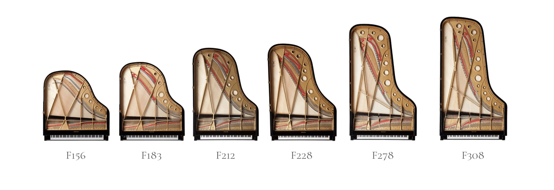 Piano Fazioli all models