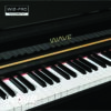 Wave W12 Pro 1