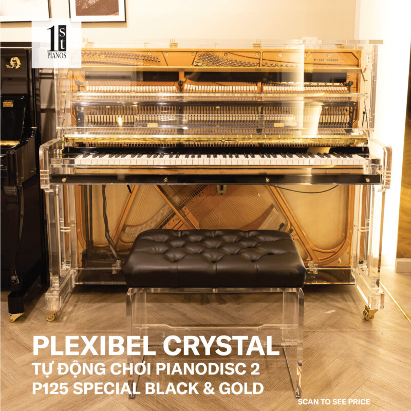Plexibel P125U Special Black & Gold 100