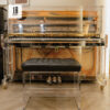Plexibel P125U Special Black & Gold 105Plexibel P125U Special Black & Gold 112